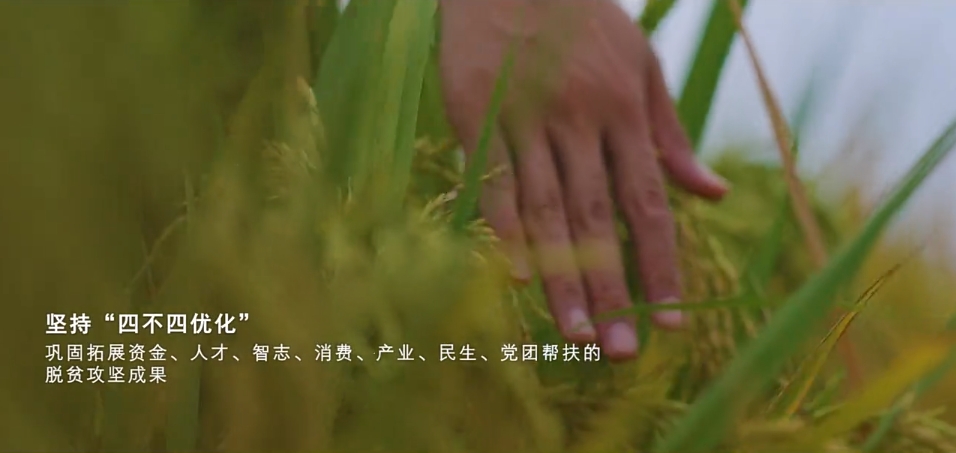 中国移动助力乡村振兴数字乡村